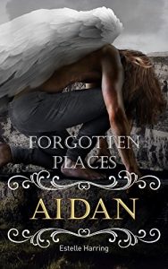 Baixar Forgotten Places: Aidan (Band 4) (German Edition) pdf, epub, eBook
