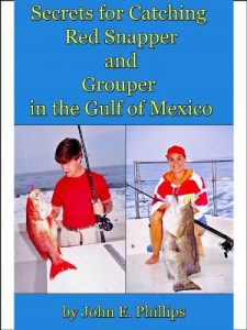 Baixar Secrets for Catching Red Snapper and Grouper in the Gulf of Mexico (English Edition) pdf, epub, eBook