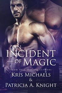 Baixar An Incident of Magic (Everlight Book 2) (English Edition) pdf, epub, eBook