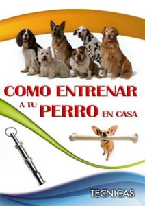 Baixar Como Entrenar a Tu Perro en Casa (Spanish Edition) pdf, epub, eBook