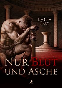 Baixar Nur Blut und Asche (German Edition) pdf, epub, eBook
