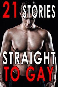 Baixar Straight to Gay: 21 Books to Excite (English Edition) pdf, epub, eBook