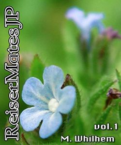 Baixar ReiserMatesJP 1 (Danish Edition) pdf, epub, eBook