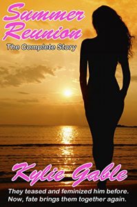 Baixar Summer Reunion: The Complete Story (English Edition) pdf, epub, eBook