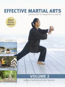 Baixar Effective Martial Arts Training with No Equipment or Partner vol 2: Ageless Flexibility and Joint Mobility (English Edition) pdf, epub, eBook
