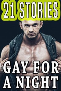 Baixar Gay For A Night: 21 Stories Of Exactly What It Sounds Like… (English Edition) pdf, epub, eBook