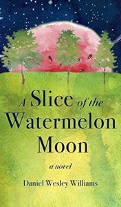 Baixar A Slice of the Watermelon Moon (English Edition) pdf, epub, eBook