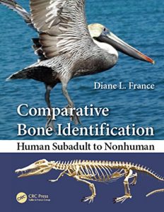 Baixar Comparative Bone Identification: Human Subadult to Nonhuman pdf, epub, eBook