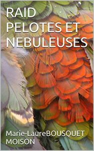 Baixar RAID PELOTES ET NEBULEUSES (French Edition) pdf, epub, eBook