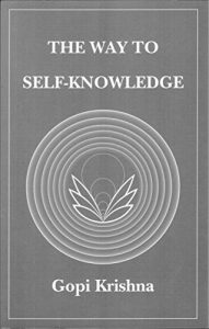Baixar The Way to Self-Knowledge (English Edition) pdf, epub, eBook