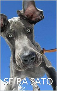 Baixar Maiorite kitano wa Kimuchi: Who killed Kimuchi (Japanese Edition) pdf, epub, eBook