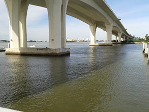 Baixar Weltrekordjagd (German Edition) pdf, epub, eBook