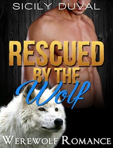 Baixar Rescued by the Wolf (Paranormal Shifter Werewolf Short Stories Book 1) (English Edition) pdf, epub, eBook