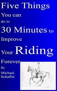 Baixar Five Things You Can Do in 30 MInutes to Improve Your Riding Forever (English Edition) pdf, epub, eBook