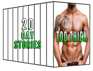 Baixar Too Thick: 20 Gay Stories Book Collection (English Edition) pdf, epub, eBook