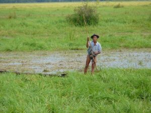 Baixar Thailand Urlaub Sex und Drogen (German Edition) pdf, epub, eBook