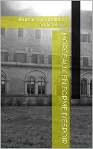Baixar Morceaux en forme d’espoir: Journal d’un addict en addictologie (French Edition) pdf, epub, eBook