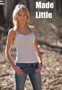 Baixar Made Little (English Edition) pdf, epub, eBook