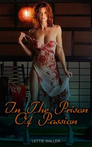 Baixar In The Prison Of Passion: (Erotic And Forbidden Stories Affairs Hot Fresh Taboo Adult Scenes) (English Edition) pdf, epub, eBook