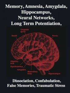 Baixar Memory, Amnesia, Amygdala, Hippocampus, Neural Networks, Long Term Potentiation, Dissociation,  Confabulation, False Memories, Traumatic Stress: Brain, Mind, Neuroscience (English Edition) pdf, epub, eBook