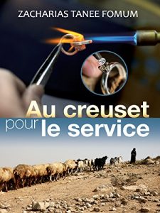 Baixar Dans le Creuset en Vue du Service (French Edition) pdf, epub, eBook
