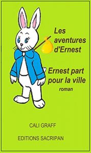 Baixar LES AVENTURES D’ERNEST: Ernest part pour la ville (French Edition) pdf, epub, eBook