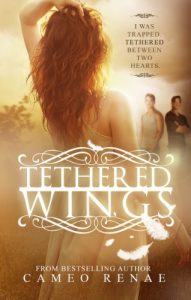 Baixar Tethered Wings (Hidden Wings Series Book Three) (English Edition) pdf, epub, eBook