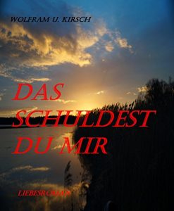 Baixar Das schuldest du mir (German Edition) pdf, epub, eBook