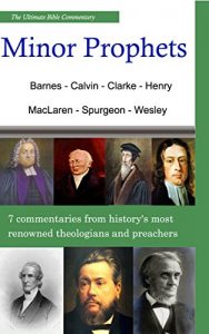 Baixar The Ultimate Commentary On The Minor Prophets: A Collective Wisdom On The Bible (English Edition) pdf, epub, eBook