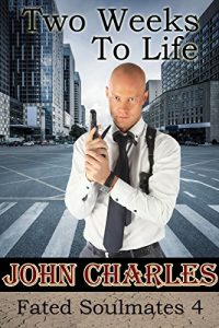 Baixar Two Weeks To Life: A Gay Love Story 30 years in the making (Fated Soulmates Book 4) (English Edition) pdf, epub, eBook