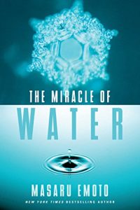Baixar The Miracle of Water (English Edition) pdf, epub, eBook