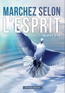 Baixar Marchez selon l’esprit (French Edition) pdf, epub, eBook