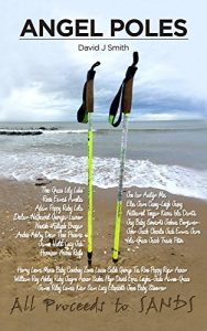 Baixar Angel Poles: The true story of Britains most famous walking poles and the Angels they carried. (English Edition) pdf, epub, eBook