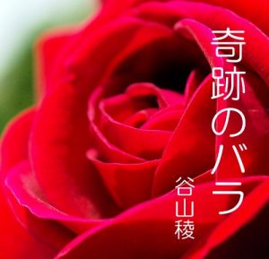 Baixar kiseki no bara (Japanese Edition) pdf, epub, eBook