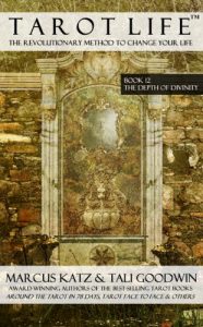Baixar Tarot Life Book 12: The Depth of Divinity (English Edition) pdf, epub, eBook