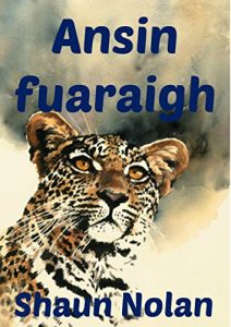 Baixar Ansin fuaraigh (Irish Edition) pdf, epub, eBook