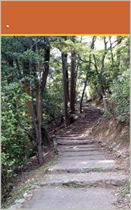 Baixar हिमालयाच्या कुशीत: प्रवास वर्णन (Marathi Edition) pdf, epub, eBook