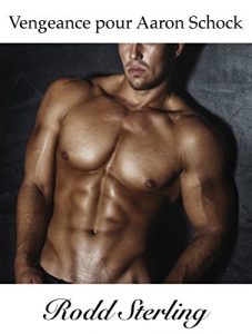 Baixar Vengeance pour Aaron Schock : M/M Rough Trade  (French Edition) pdf, epub, eBook