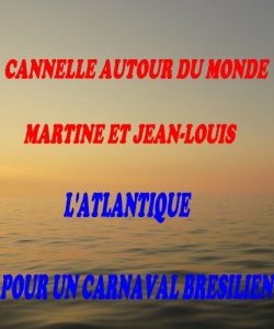 Baixar L’ATLANTIQUE POUR UN CARNAVAL BRESILIEN (CANNELLE AUTOUR DU MONDE t. 2) (French Edition) pdf, epub, eBook