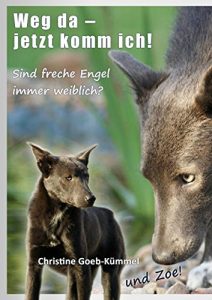 Baixar Weg da – jetzt komm ich!: Sind freche Engel immer weiblich? (German Edition) pdf, epub, eBook