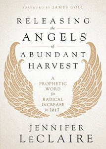 Baixar Releasing the Angels of Abundant Harvest: A Prophetic Word for Radical Increase in 2017 pdf, epub, eBook
