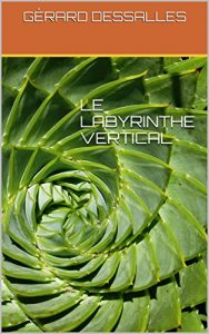 Baixar LE LABYRINTHE VERTICAL (French Edition) pdf, epub, eBook