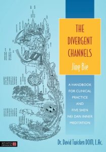 Baixar The Divergent Channels – Jing Bie: A Handbook for Clinical Practice and Five Shen Nei Dan Inner Meditation pdf, epub, eBook