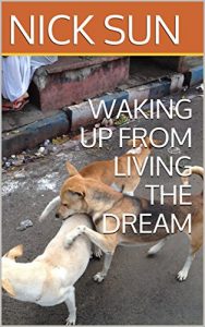 Baixar WAKING UP FROM LIVING THE DREAM (English Edition) pdf, epub, eBook