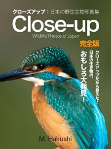 Baixar Close-up: The breakthrough creatures of Japan in Close-up photo Photos of wildlife of Japan (Japanese Edition) pdf, epub, eBook