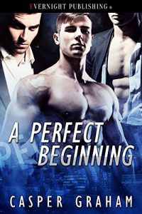 Baixar A Perfect Beginning (English Edition) pdf, epub, eBook