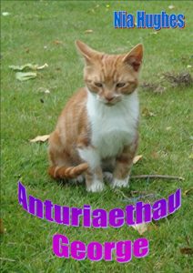 Baixar Anturiaethau George (Antur Anifeiliaid Book 1) (Welsh Edition) pdf, epub, eBook