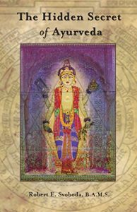 Baixar The Hidden Secret of Ayurveda (English Edition) pdf, epub, eBook