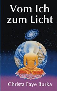 Baixar Vom Ich Zum Licht (German Edition) pdf, epub, eBook