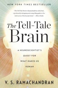 Baixar The Tell-Tale Brain: A Neuroscientist’s Quest for What Makes Us Human pdf, epub, eBook